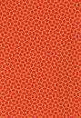 Revival Palm Orange